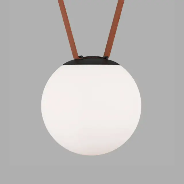 Трековый светильник Denkirs DK5552-BK BELTY ORB | БЕЛТИ ОРБ — черный