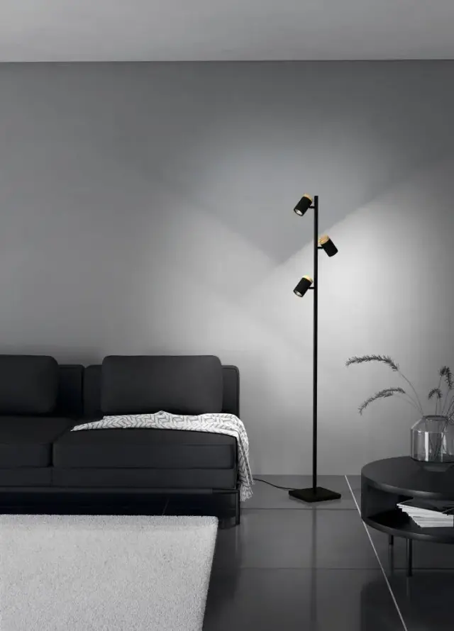 Торшер Eglo 390071 CARTAGENA — черный, ракурс 3