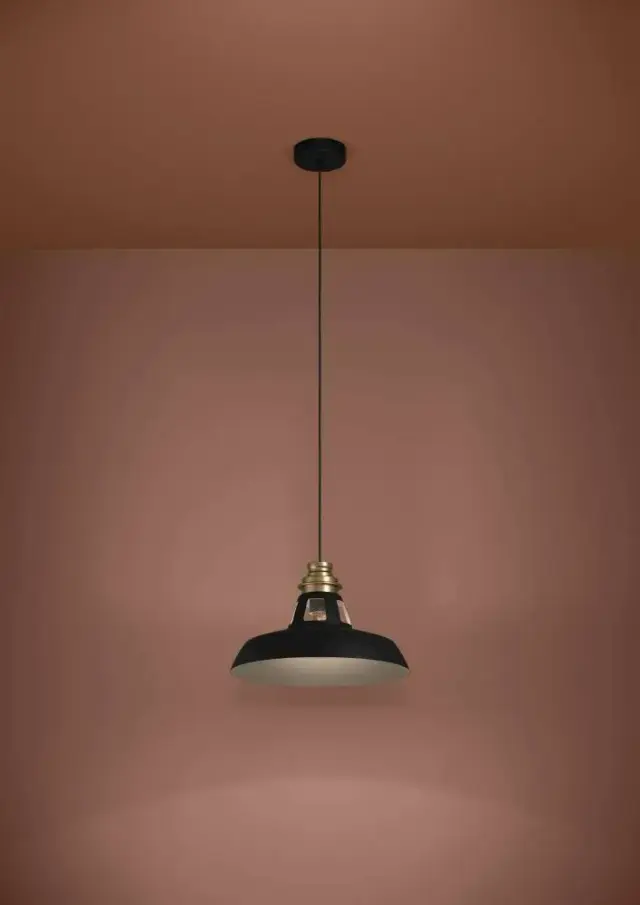 Светильник Eglo 390229 ESPINARDO — черный, ракурс 2