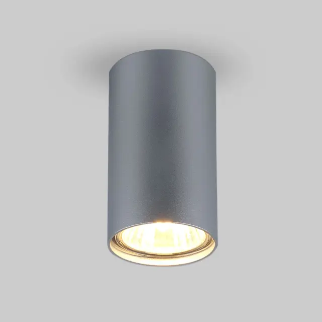 Точечный светильник Elektrostandard 1081 (5257) GU10 SL серебряный/(a037714)