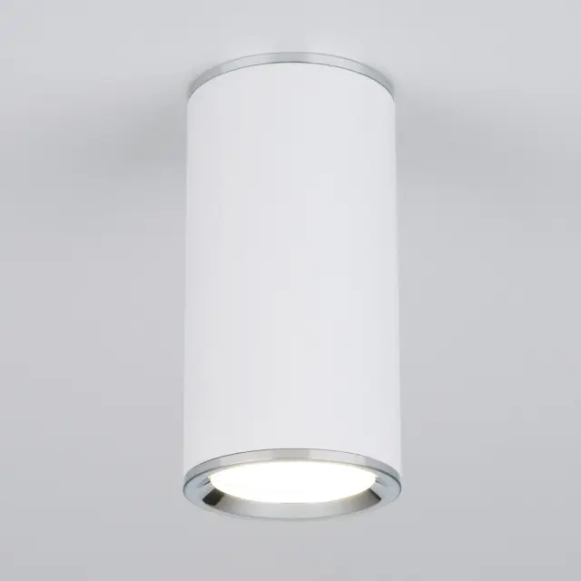Точечный светильник Elektrostandard DLN101 GU10 WH белый/(a043967) RUTERO