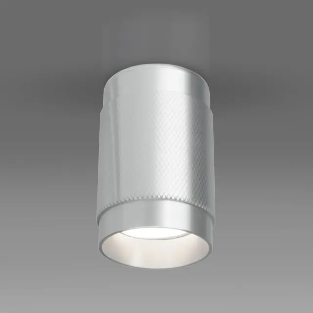 Точечный светильник Elektrostandard DLN109 GU10/(a047742) TONY — серебряный, ракурс 2