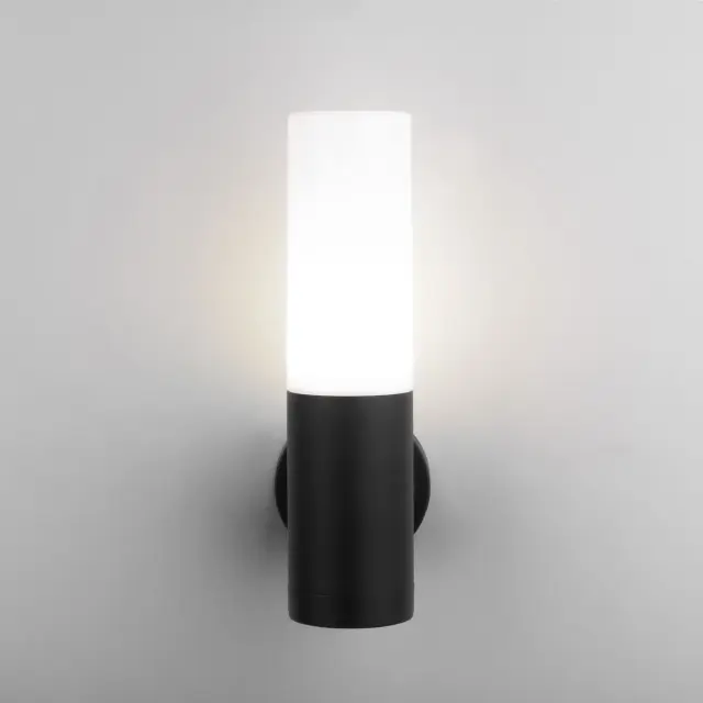 Уличный светильник Elektrostandard 1418 TECHNO/(a049717) GLAS — черный, ракурс 2