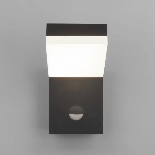 Уличный светильник Elektrostandard 1541 TECHNO LED черный/(a053946) SENSOR, ракурс 2