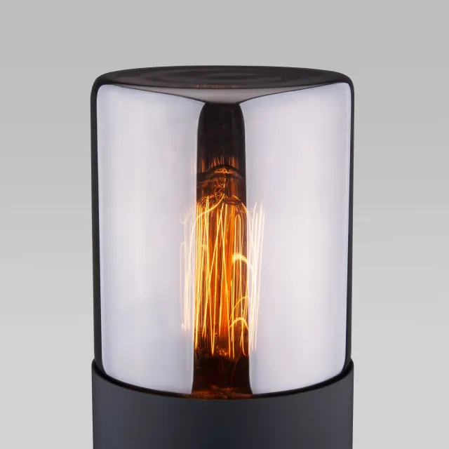 Уличный светильник Elektrostandard 35125/F/(a055638) ROIL — черный, ракурс 2