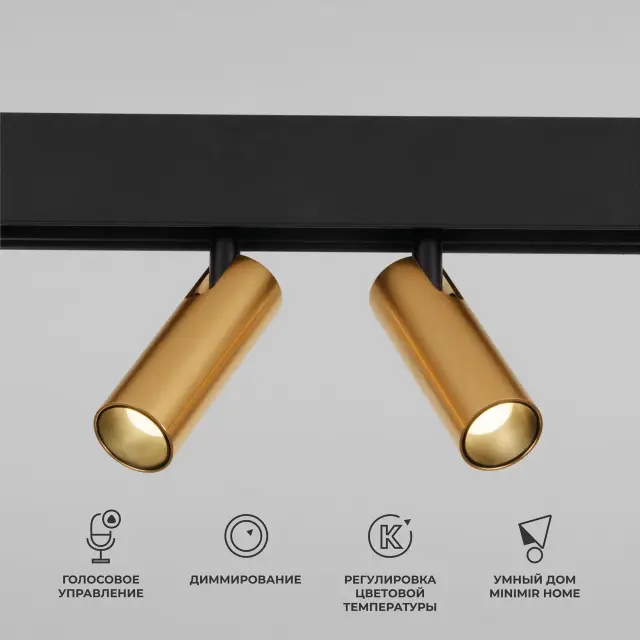 Умный трековый светильник 14 Вт 2700-6500K Dim Dual Slim Magnetic 85056/01 — черный