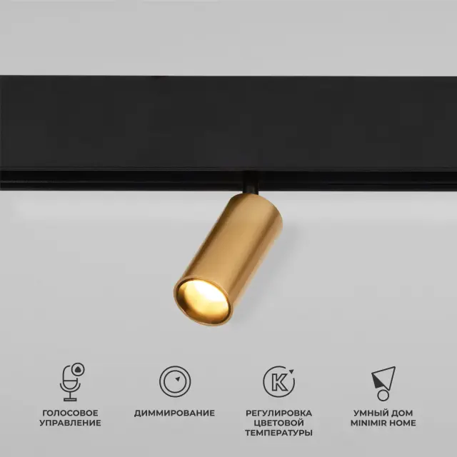 Умный трековый светильник 5W 2700-6500K Dim Cantors Slim Magnetic 85071/01 — черный
