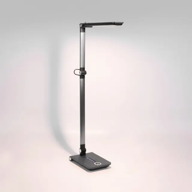 Настольная лампа Elektrostandard TL70240/(a065290) GREAT — черный, ракурс 3