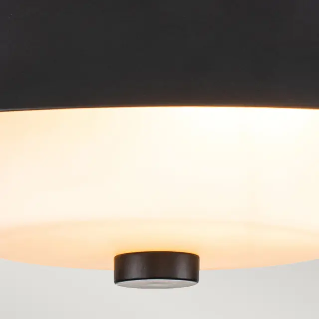 Светильник для ванной комнаты Elstead Lighting BOWTIE-F-MB — черный, ракурс 3