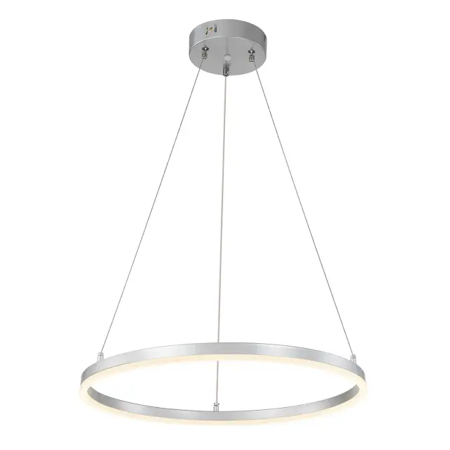 Светильник Escada 10254/1LED Silver APP VOID — серый, ракурс 4