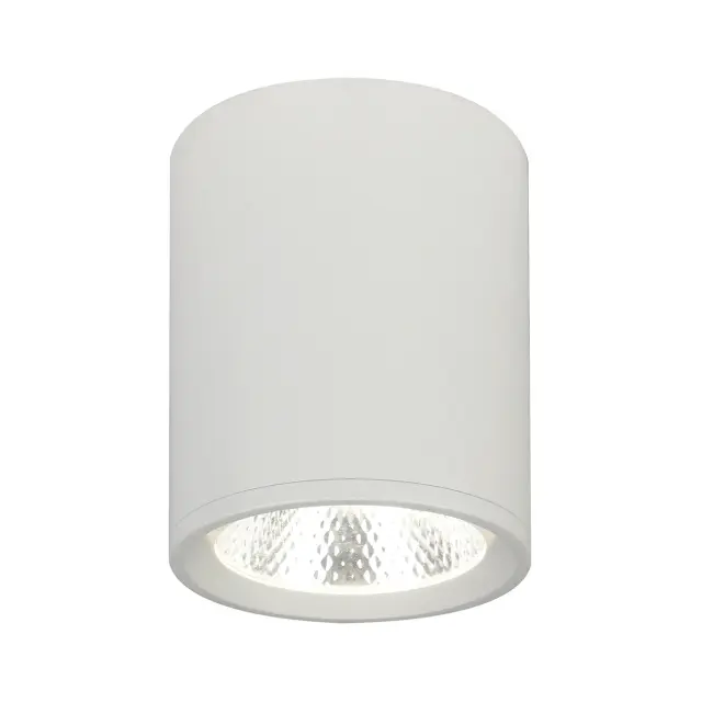 Точечный светильник Escada 20003SMU/02LED SWH — белый