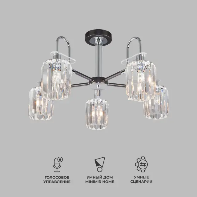 Люстра Eurosvet 70090/5 графит TENIA — черный, ракурс 2