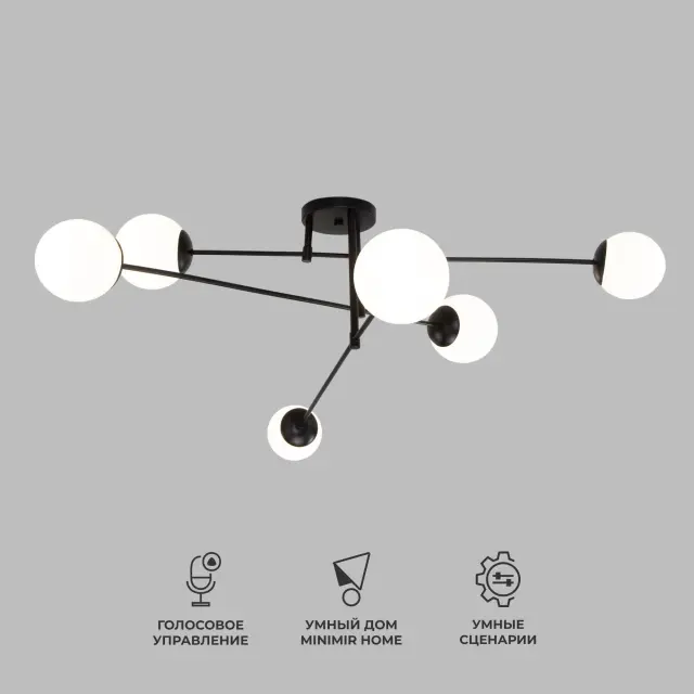 Люстра Eurosvet 30181/6 черный NETZ, ракурс 2