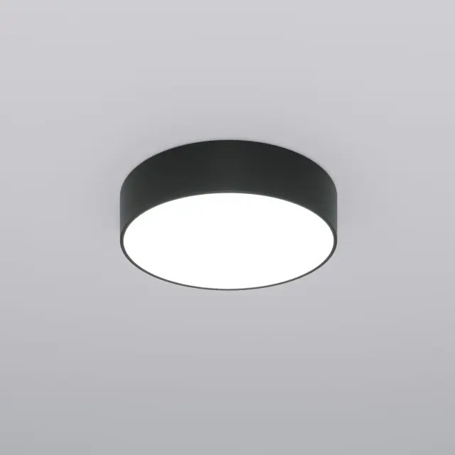 Светильник Eurosvet 90318/1 черный ENTIRE