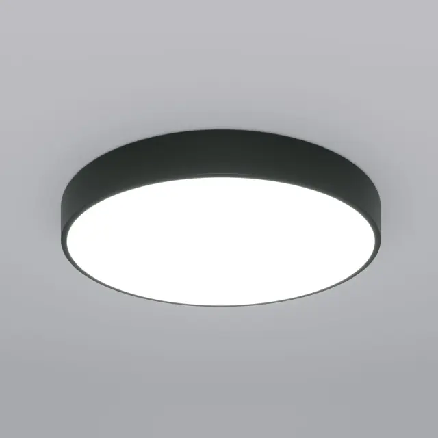 Светильник Eurosvet 90320/1 черный ENTIRE