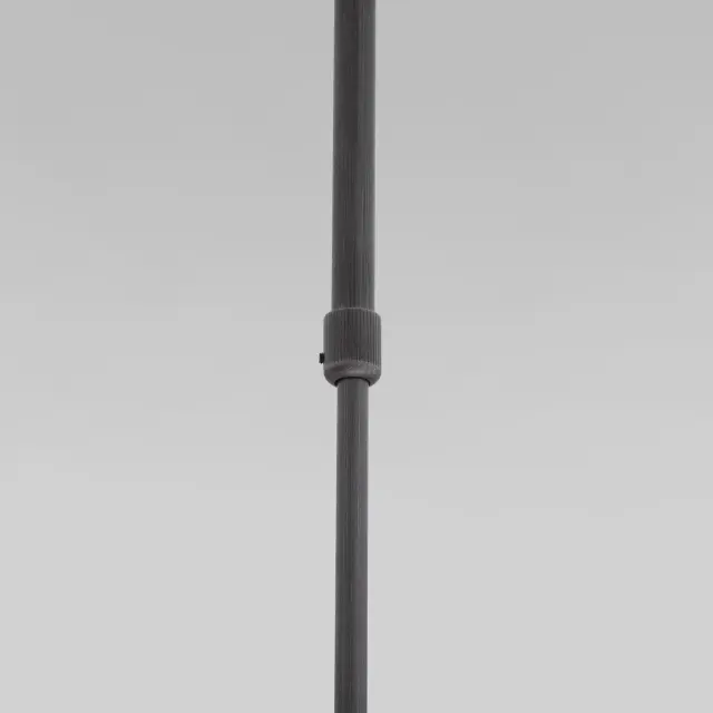 Светильник Eurosvet 50255/1 титан PACIFIC — серый, ракурс 2