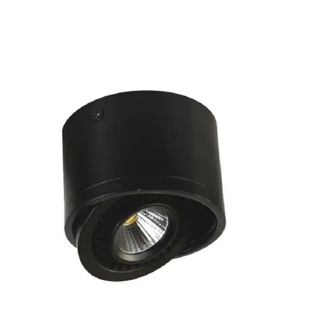 Точечный светильник Favourite 1779-1C REFLECTOR — черный, ракурс 2