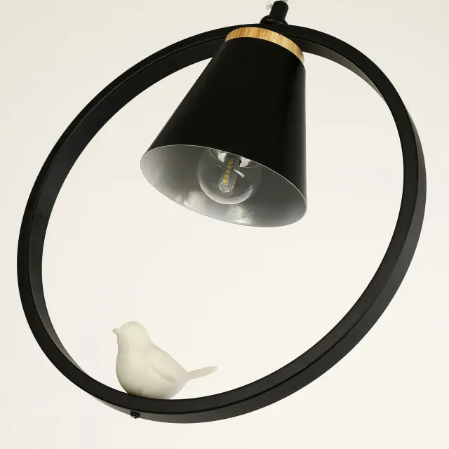 Светильник Favourite 2938-1P UCCELLO — черный, ракурс 6
