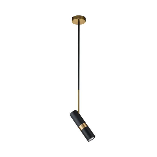 Светильник Favourite 2997-1P LIGHT POINT — черный, ракурс 2