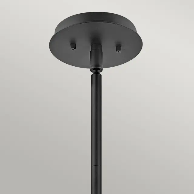 Светильник Hinkley QN-LOTUS-P-BLK — черный, ракурс 2