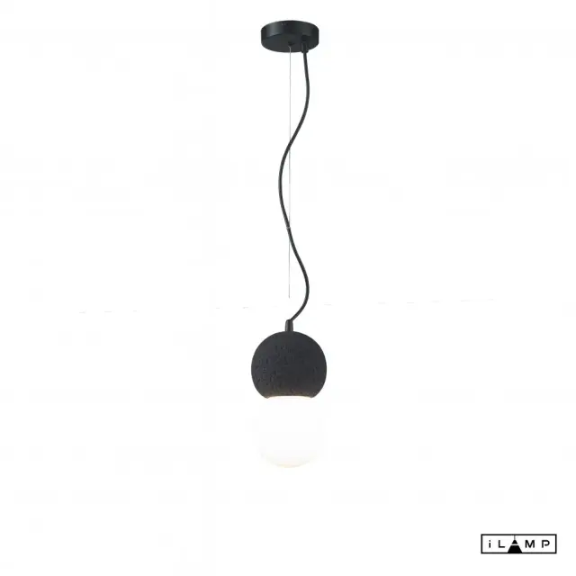 Светильник iLamp 10694P/1-D100 BK-WH FOXTROT — черный