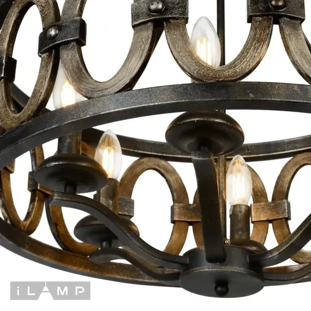 Люстра iLamp Loft192-6 ORGANIC — черный, ракурс 3