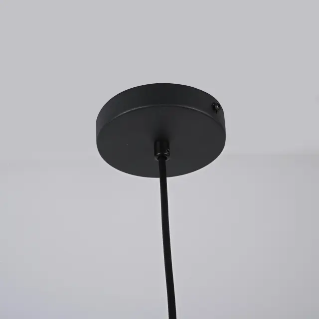Светильник Imperium Loft 101816-26 GRAIN PENDANT — черный, ракурс 7
