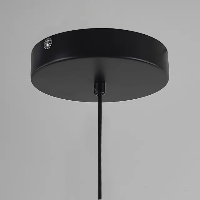 Светильник Imperium Loft 202723-23 SUSPENSION C.E.T. — черный, ракурс 18