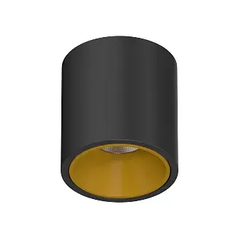 Точечный светильник Ledron RINBOK Black-Gold — черный, ракурс 2