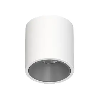 Точечный светильник Ledron RINBOK White-Grey TRIAC — белый, ракурс 2