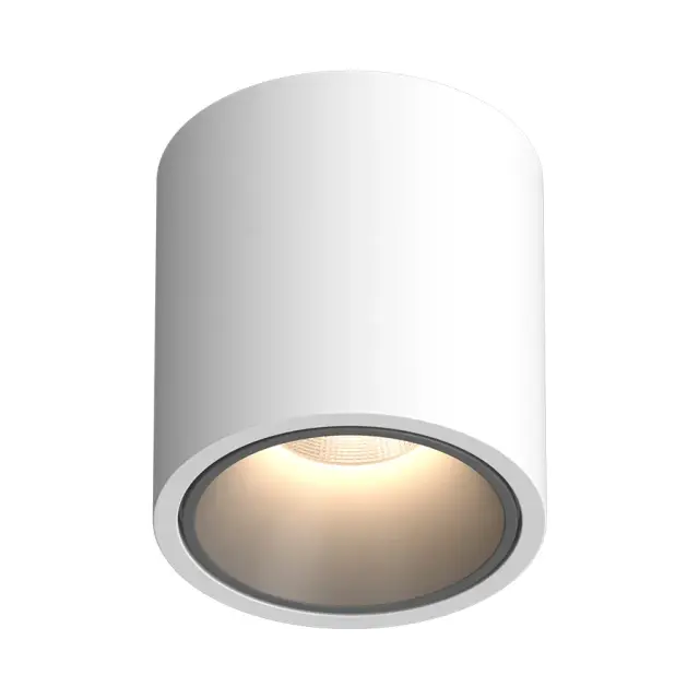 Точечный светильник Ledron RINBOK White-Grey TRIAC — белый