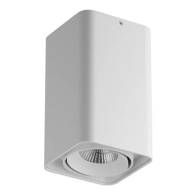 Точечный светильник Lightstar 212536 MONOCCO — белый