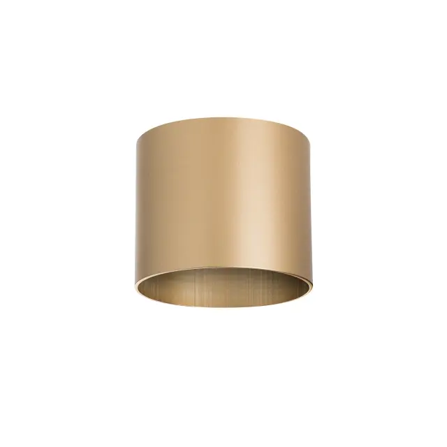 Точечный светильник Lightstar 213490 RULLO — золотой