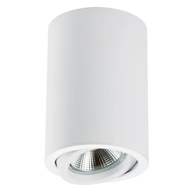 Точечный светильник Lightstar 214406 RULLO — белый