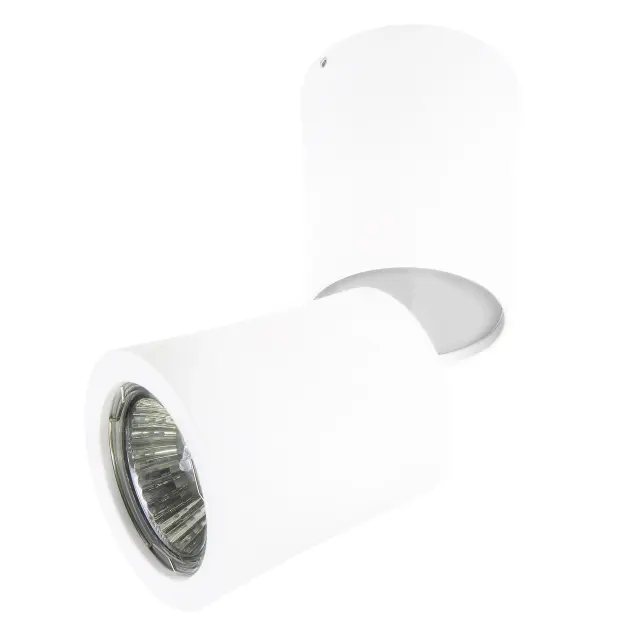 Точечный светильник Lightstar 214456 ROTONDA — белый