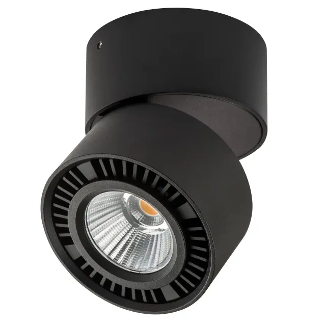 Точечный светильник Lightstar 214817 FORTE MURO — черный