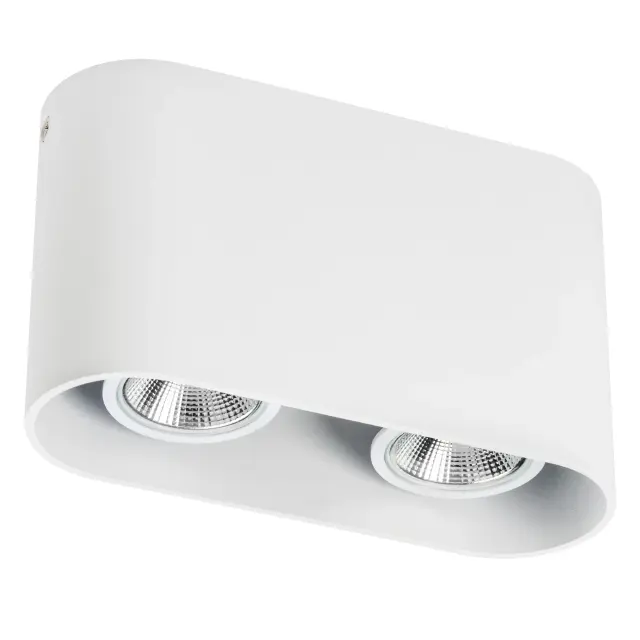 Точечный светильник Lightstar 214866 RULLO — белый