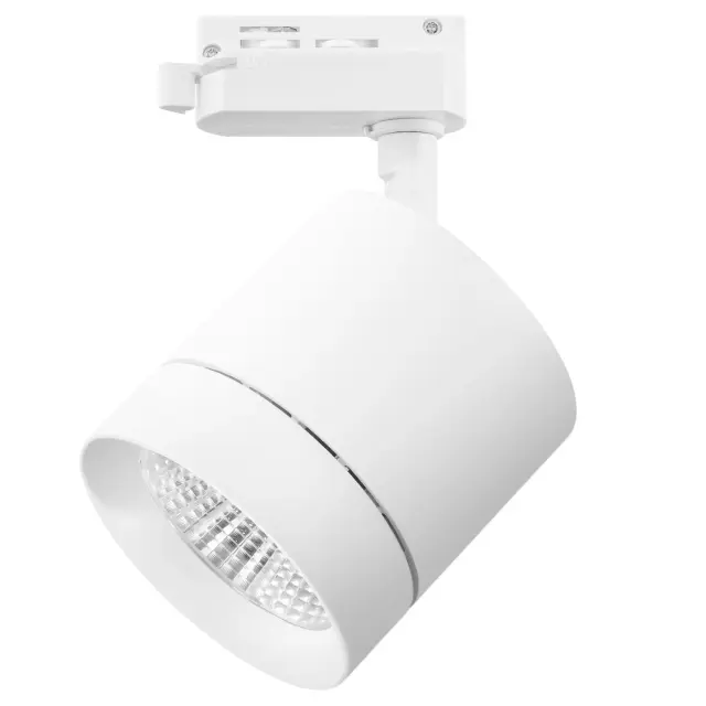 Светильник для однофазного трека Lightstar 301262 CANNO — белый