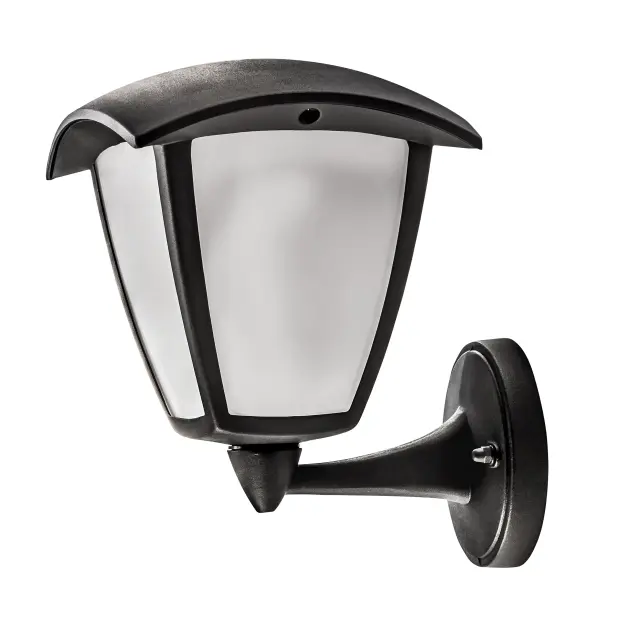 Уличный светильник Lightstar 375670 LAMPIONE — черный