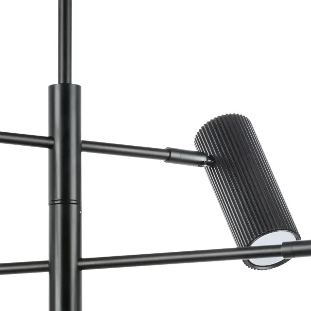 Люстра Lightstar 718267 ROMA — черный, ракурс 4