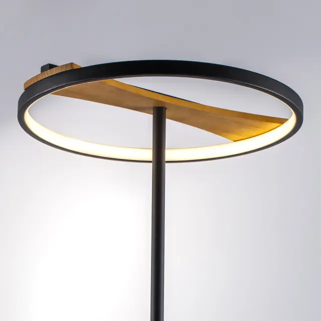 Торшер Lightstar 723727 LODI — черный, ракурс 2