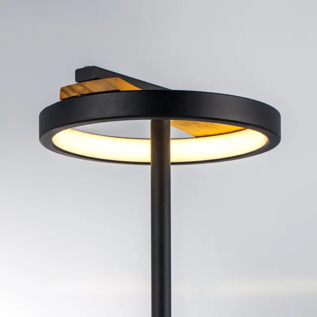 Настольная лампа Lightstar 723927 LODI — черный, ракурс 2