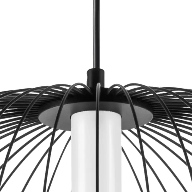 Светильник Lightstar 734067 SOLE — черный, ракурс 9