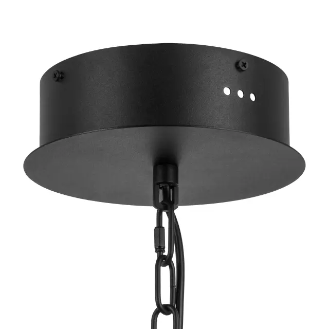 Люстра Lightstar 734247 IRIS — черный, ракурс 2