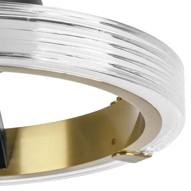 Люстра Lightstar 736041 ROTONDA — черный, ракурс 3