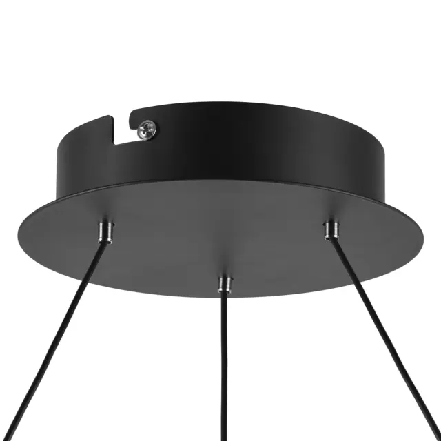 Светильник Lightstar 736167 ROTONDA — черный, ракурс 2