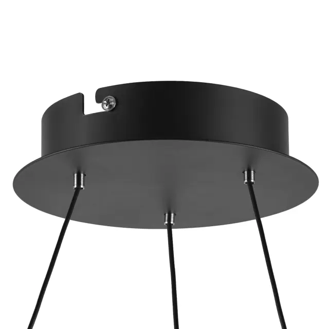 Светильник Lightstar 736241 ROTONDA — черный, ракурс 2