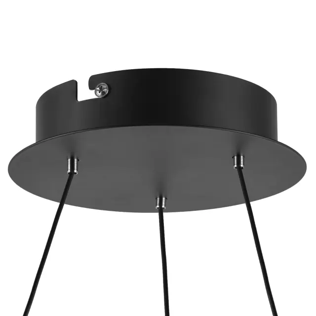Светильник Lightstar 736247 ROTONDA — черный, ракурс 2