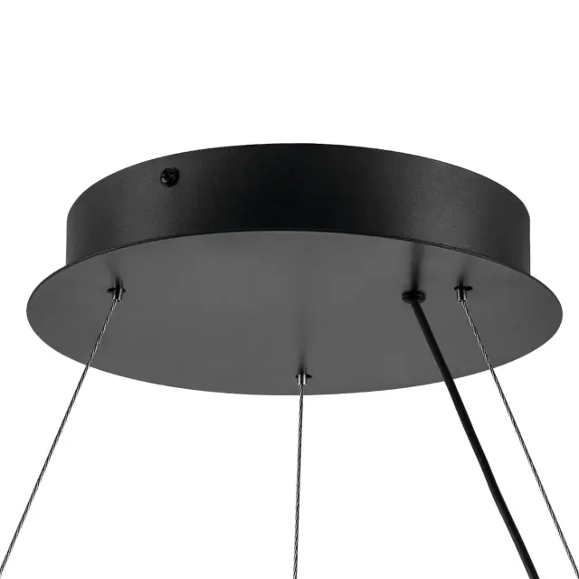 Светильник Lightstar 736367 ROTONDA — черный, ракурс 2
