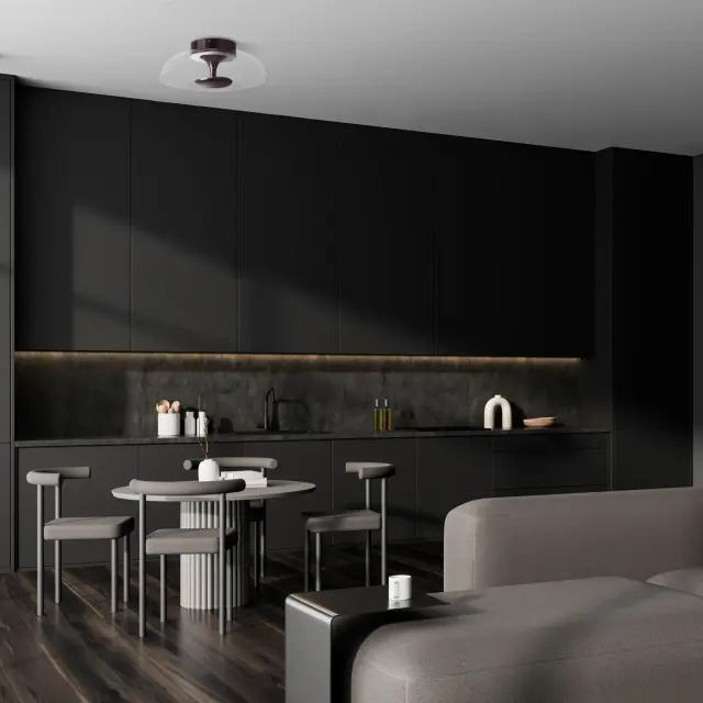 Светильник Lightstar 809200 CELESTA — черный, ракурс 4